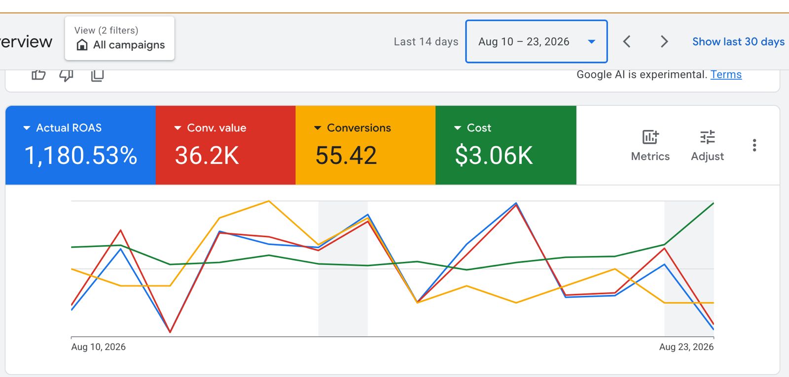 Google ads campaign ROAS